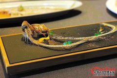 習(xí)近平向第30屆阿拉伯國(guó)家聯(lián)盟首