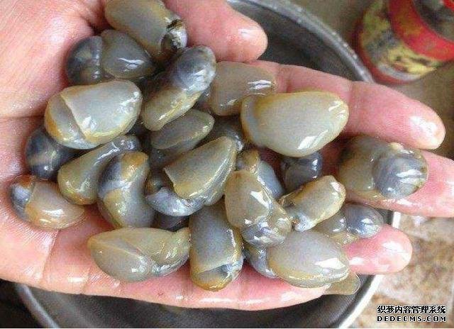 它比“小龍蝦”還受寵，味道鮮美，曾賣5元一斤，現(xiàn)想吃都買不起