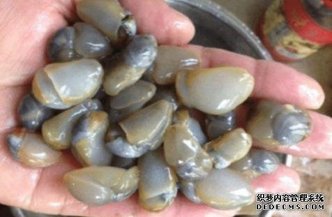 樣子很丑的4種海鮮，味道卻好到讓人“上癮”, 可惜識貨的人不多