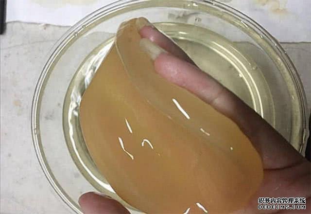 這種北方稀奇物美食，看著像一塊“肥肉”，上年紀(jì)的人才看懂