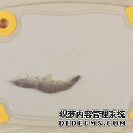 步驟圖:鮮蝦去頭去尾、去殼、去蝦線。蝦的背部和腹部各有一條