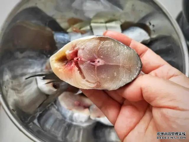 遇上這魚從不手軟，一買就是10斤，肉嫩刺少營養(yǎng)高，每次都吃不夠
