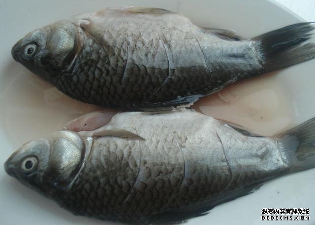 鯽魚(yú)我只服這樣做，稍微腌制風(fēng)干，做好一次可以吃上半年