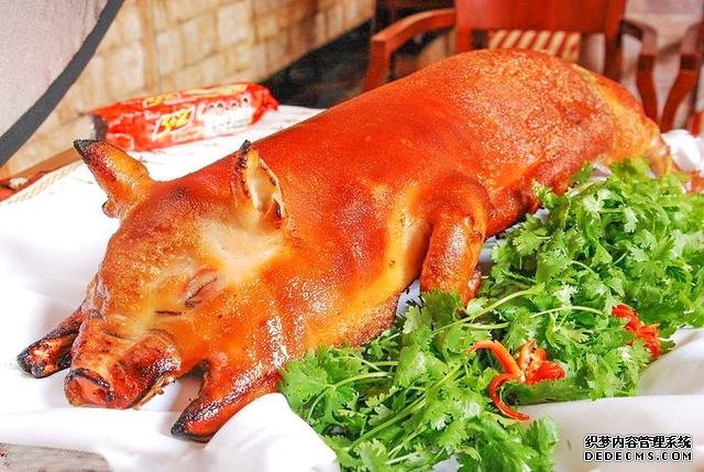 最任性的小店，20年僅賣1種菜，每天賺2000，食客：天天吃也不膩