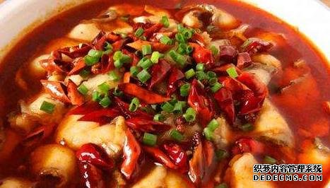 家常菜才是最解饞的，簡單燜一燜，汁鮮肉香，看她饞到舔盤
