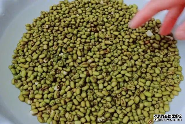 綠豆別熬粥啦，試試這樣做，5元食材做一大盤，孩子吃了還想吃