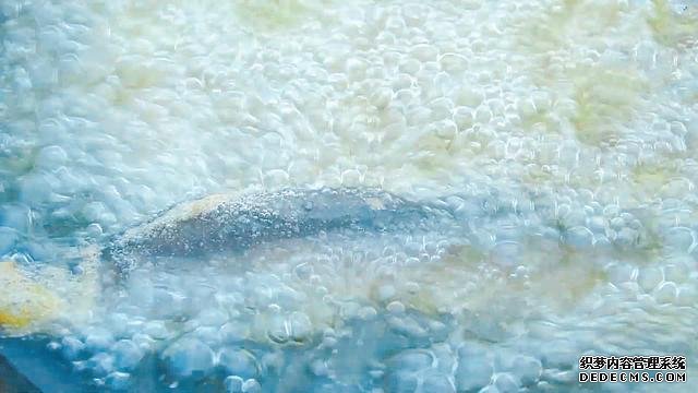 春節(jié)宅家中，捉了盆“水中人參”，寬油大火炸到焦香，很下飯