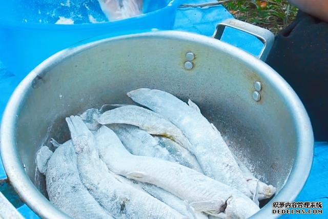 春節(jié)宅家中，捉了盆“水中人參”，寬油大火炸到焦香，很下飯