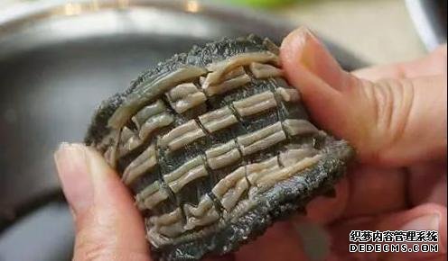 海參還能這樣吃：詳細泡發(fā)方法和做法步驟，滋補養(yǎng)顏，強身抗衰老