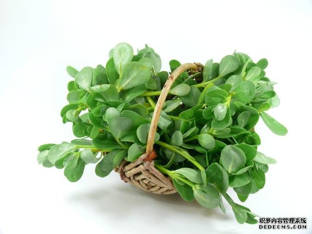 春分時(shí)節(jié)這菜要抓緊吃，再晚又得等1年，路邊隨處可見，營養(yǎng)豐富