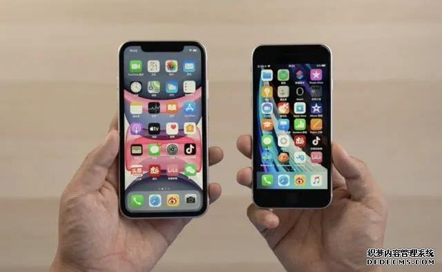 新款iPhone SE和iPhone XR怎么選？