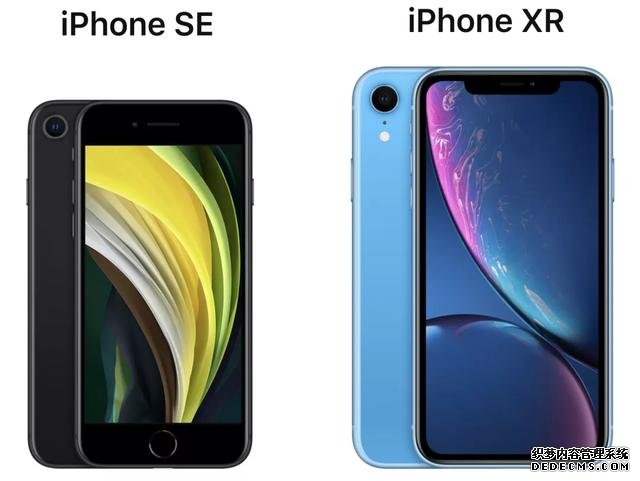 新款iPhone SE和iPhone XR怎么選？