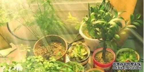 十種健康的養(yǎng)生方式?。ńㄗh永久堅持）