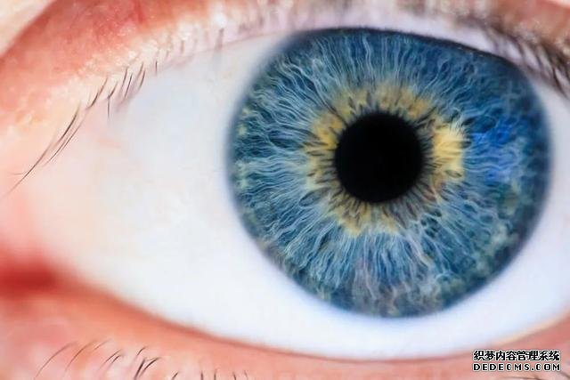 眼睛疲勞竟然會降低免疫力？是的