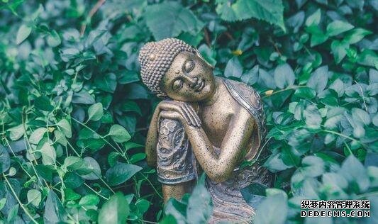 吃得少就能活得更長更健康？研究發(fā)現(xiàn)飲食限制下，壽命和健康壽命并沒有關(guān)聯(lián)