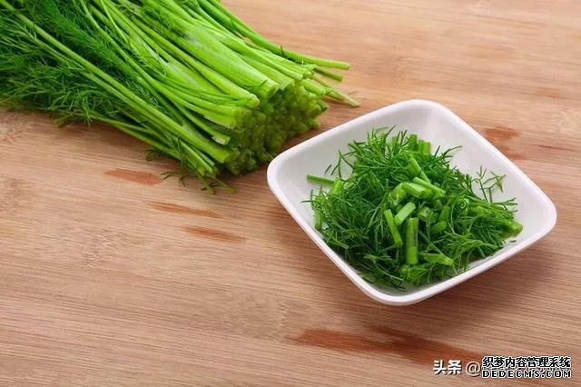 在夏天吃茴香菜，有這幾大作用，夏季養(yǎng)生不妨來點茴香菜