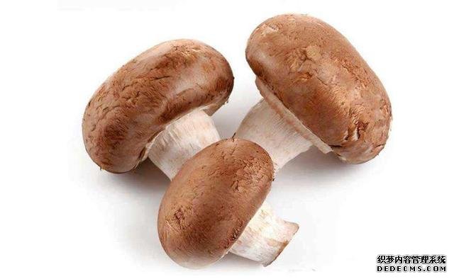 十大超強(qiáng)“刮油”食物！減肥就現(xiàn)在