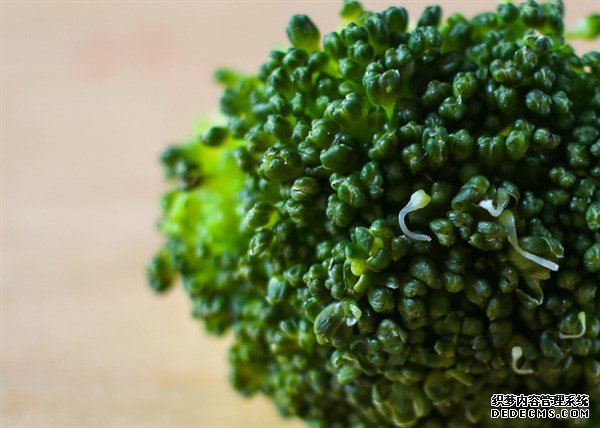 防曬光做表面還不夠，教你4個(gè)食療方，在這個(gè)夏天白白噠~