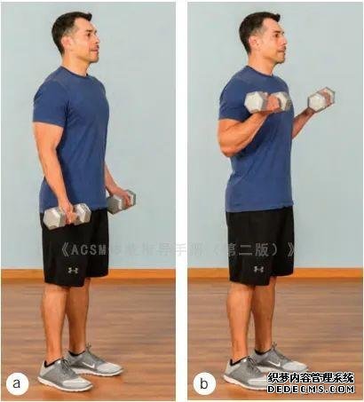健身房10個(gè)力量訓(xùn)練動(dòng)作教程，詳細(xì)講解，很適合初學(xué)者學(xué)習(xí)