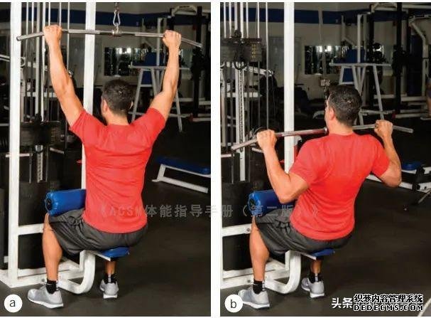 健身房10個(gè)力量訓(xùn)練動(dòng)作教程，詳細(xì)講解，很適合初學(xué)者學(xué)習(xí)
