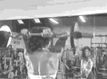 史上最全！54個GIF健身動作大全，趕緊收藏！