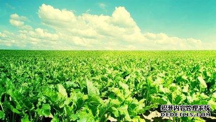 做人，心態(tài)要健康！