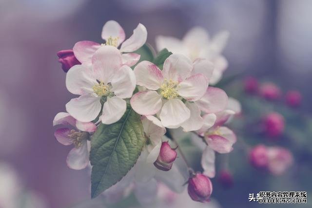 7種心理暗示，讓你保持健康心態(tài)