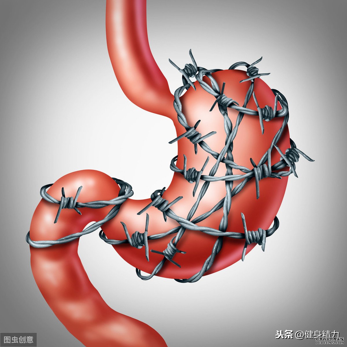 怎么做好健身飲食管理？把握好這幾點(diǎn)就可以
