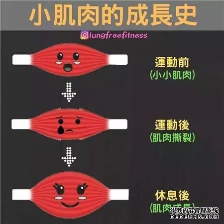22條健身知識(shí)，認(rèn)真看完相當(dāng)于上了一節(jié)私教課