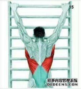 健身時的四個注意事項，讓你避免肩關(guān)節(jié)損傷！