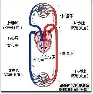 后疫情時(shí)代的自我重構(gòu):養(yǎng)心3.0-4D保健