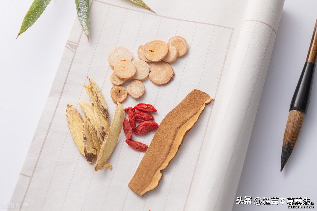 身體虛弱能長(zhǎng)期和鹿角靈芝草泡水嗎？鹿角靈芝有啥禁忌？
