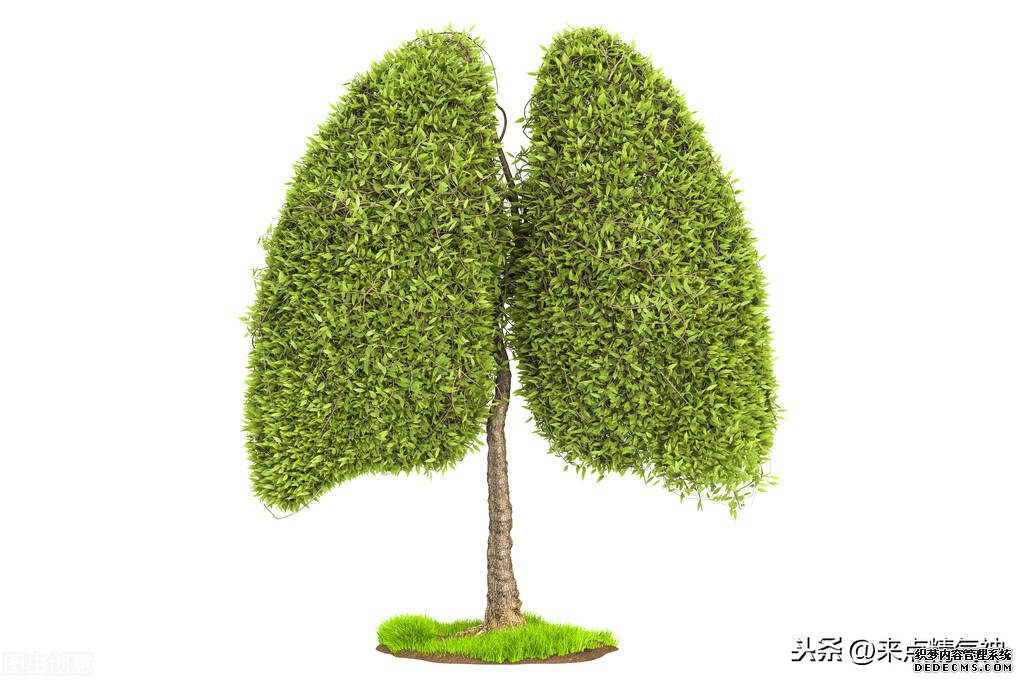 每天3次！幫助鼻子防止寒氣侵犯體內。鼻炎或鼻子不靈敏的注意