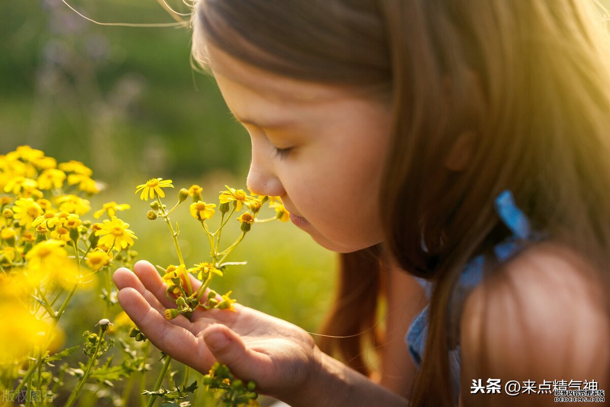 每天3次！幫助鼻子防止寒氣侵犯體內。鼻炎或鼻子不靈敏的注意