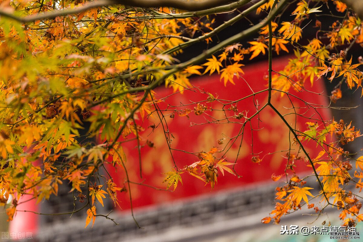每天3次！幫助鼻子防止寒氣侵犯體內。鼻炎或鼻子不靈敏的注意
