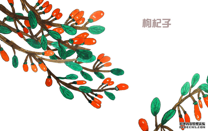 吃枸杞可以長(zhǎng)壽，但是您吃對(duì)了嗎？