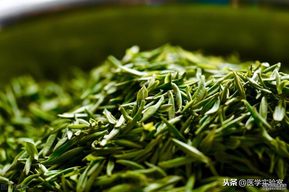 喝茶的“六大禁忌”，會喝茶也要懂茶，不讓茶傷害到自己