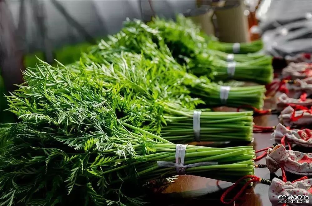 血管斑塊可以消除嗎？做到這四點，血管會被洗干凈