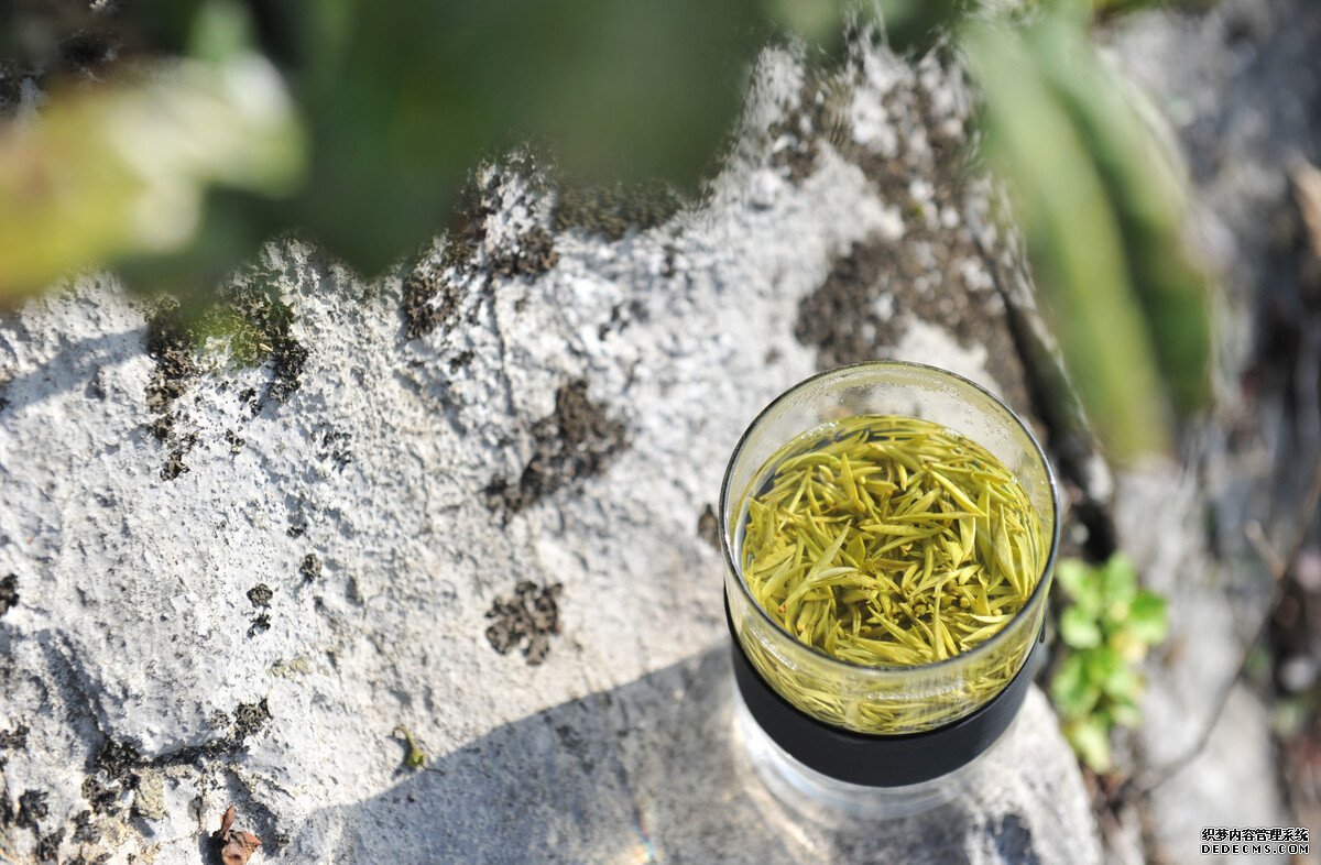 茶葉是酸性還是堿性？