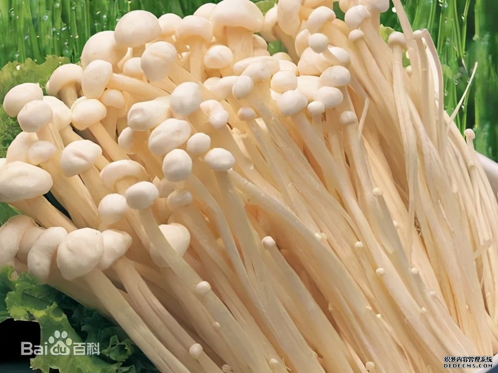 這些食物吃起來有風(fēng)險(xiǎn)，一定要當(dāng)心。