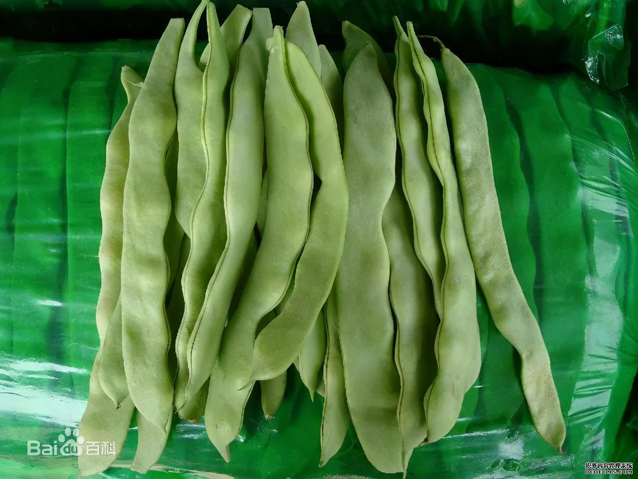 這些食物吃起來有風(fēng)險(xiǎn)，一定要當(dāng)心。
